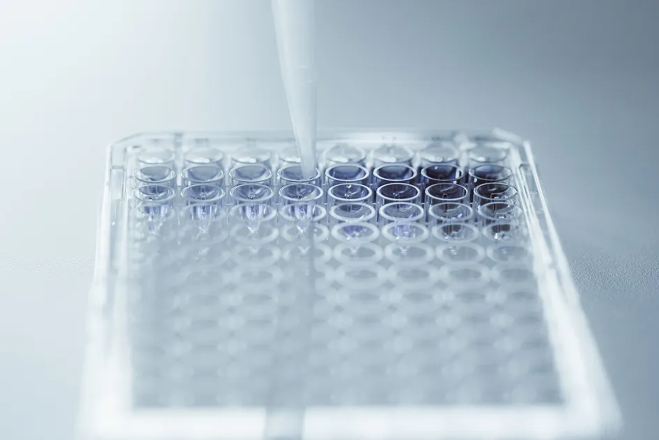 Pipette dispensing liquid into a clear microplate with multiple wells.