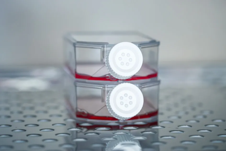 Two cell culture containers with orange liquid, one on top of the other.